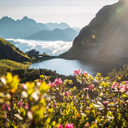 Apartment Klaus - Hunde willkommen mit Garten Kirchberg in Tirol