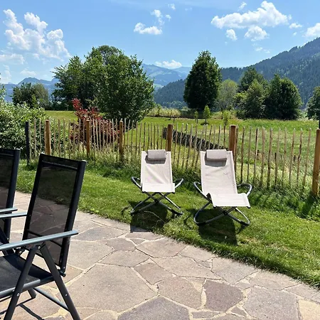 Apartment Klaus - Hunde willkommen mit Garten * Kirchberg in Tirol